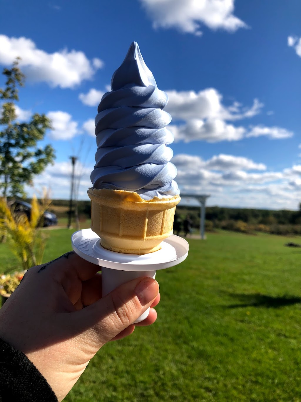 Les Bleuets du Vire Crêpes | 975 Chem. Vire-Crêpes, Saint-Nicolas, QC G7A 2A1, Canada | Phone: (418) 836-2955
