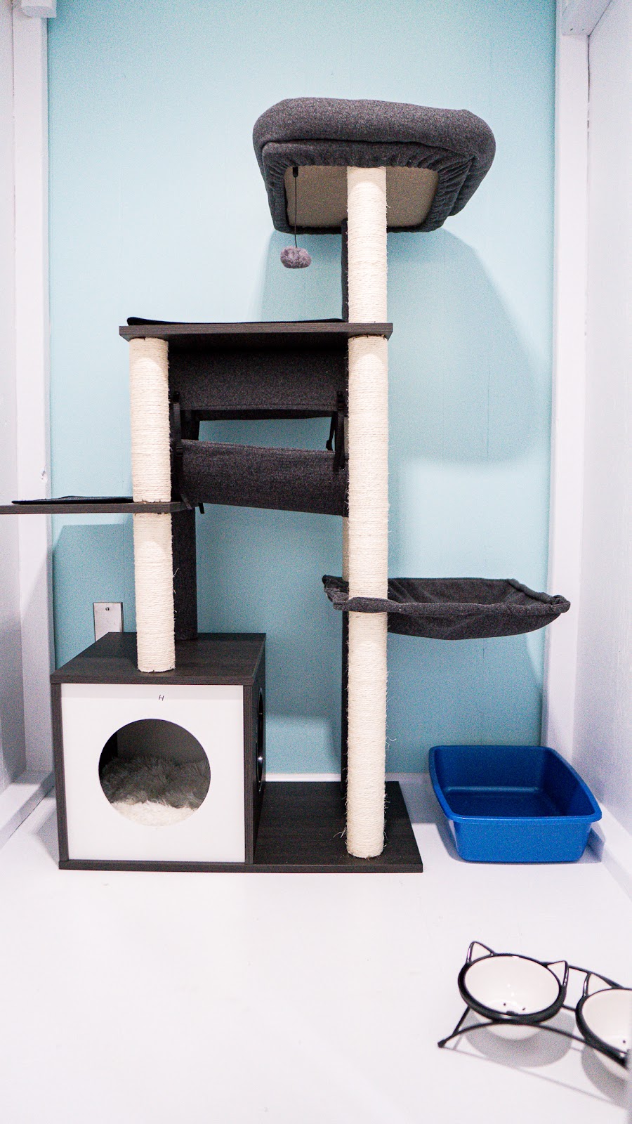 Halifax Kitty Hotel | 23 Robert Dr, Dartmouth, NS B2W 2A1, Canada | Phone: (902) 989-7297
