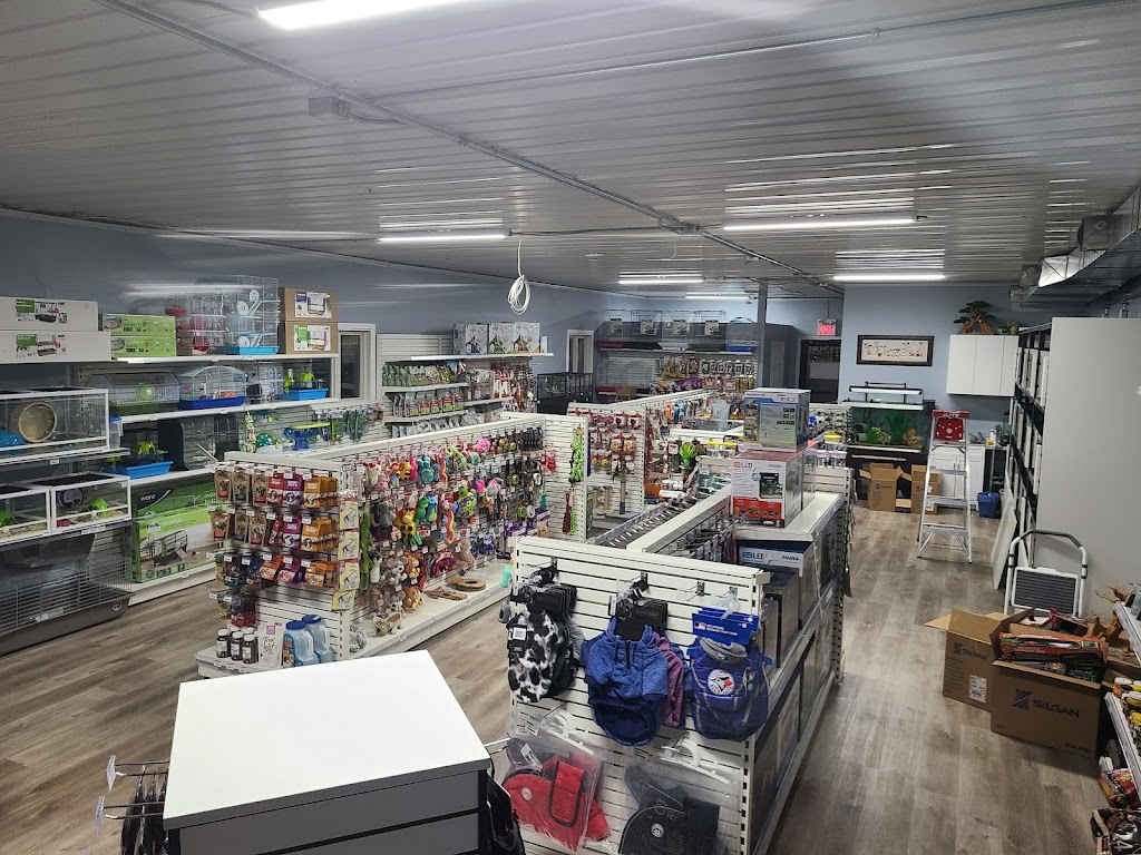 Fergus Pet Corner | 855 St David St N Unit #6, Fergus, ON N1M 2W3, Canada | Phone: (226) 383-4257