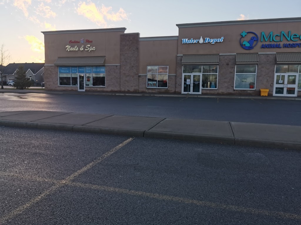 McNeely Animal Hospital | 320 Coleman St #3a, Carleton Place, ON K7C 0B5, Canada | Phone: (613) 253-2602