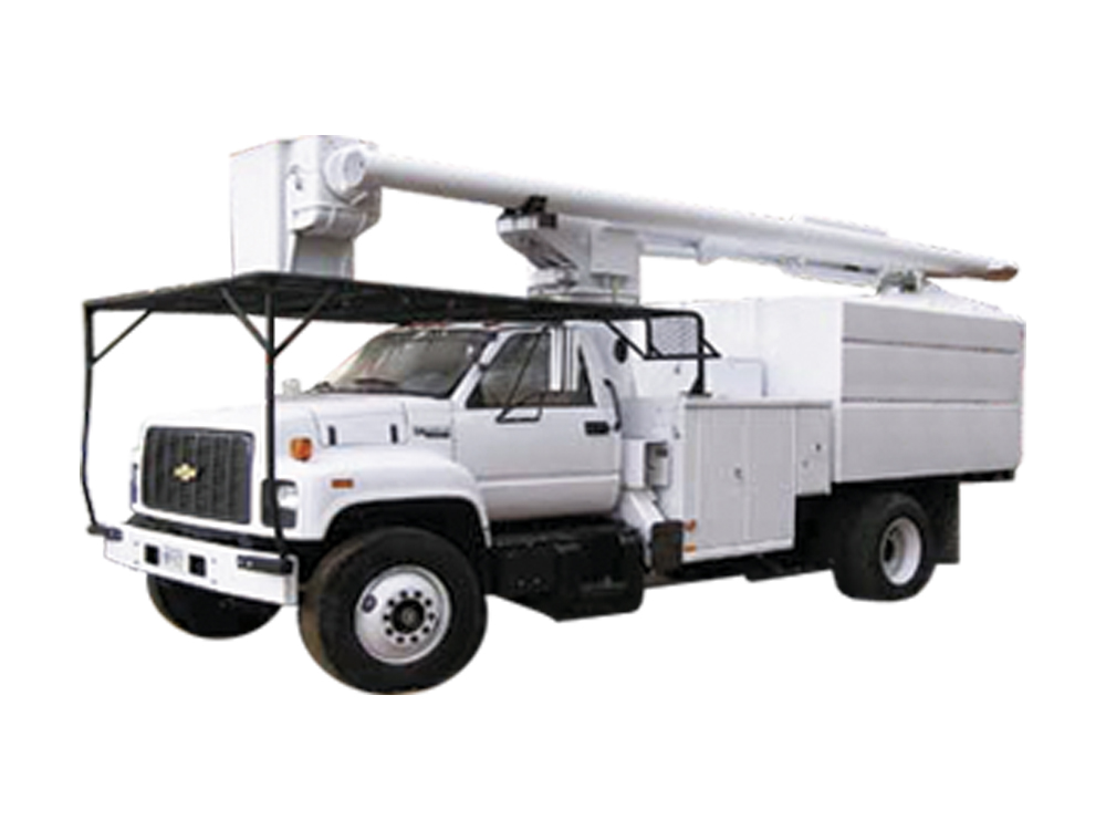 Service dArbres 98 Claude Paquette - émondage | 10 Rue du Tournesol, Shefford, QC J2M 1K9, Canada | Phone: (514) 213-2013