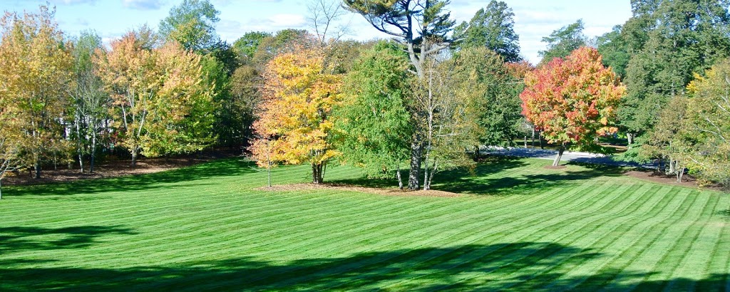 D&B Property Maintenance | 934 Bayshore Dr, Bath, ON K0H 1G0, Canada | Phone: (613) 484-9615