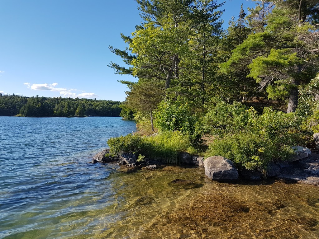 Gould Lake Conservation Area | 1540 Gould Lake Rd, Sydenham, ON K0H 2T0, Canada | Phone: (613) 546-4228