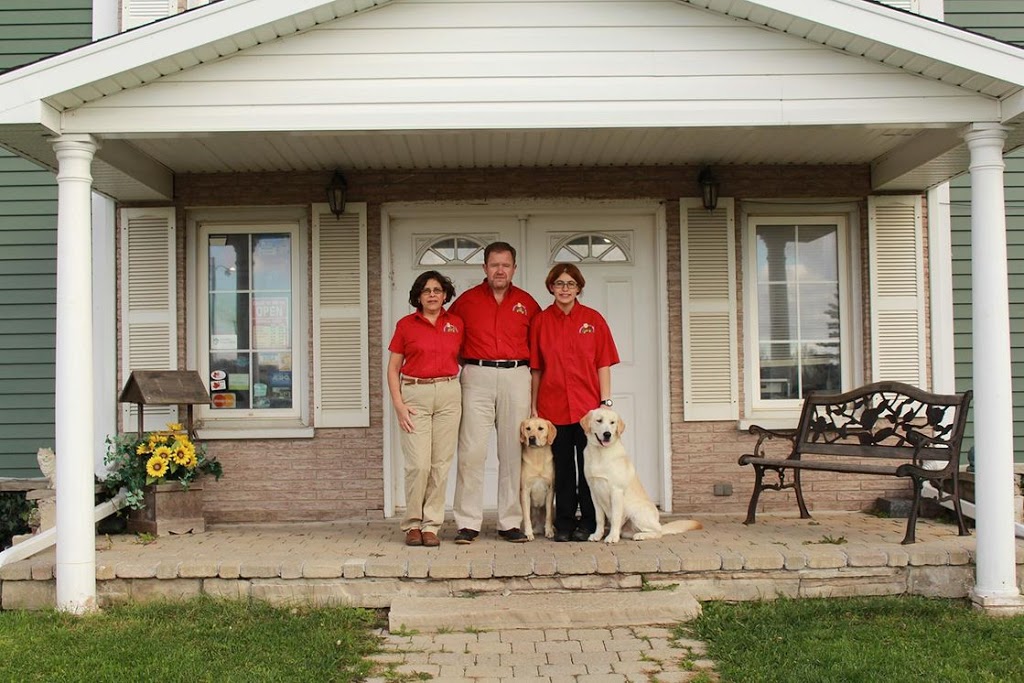 Pinetree Pet Resort | 5951 ON-6, Guelph, ON N1H 6J2, Canada | Phone: (519) 787-9934