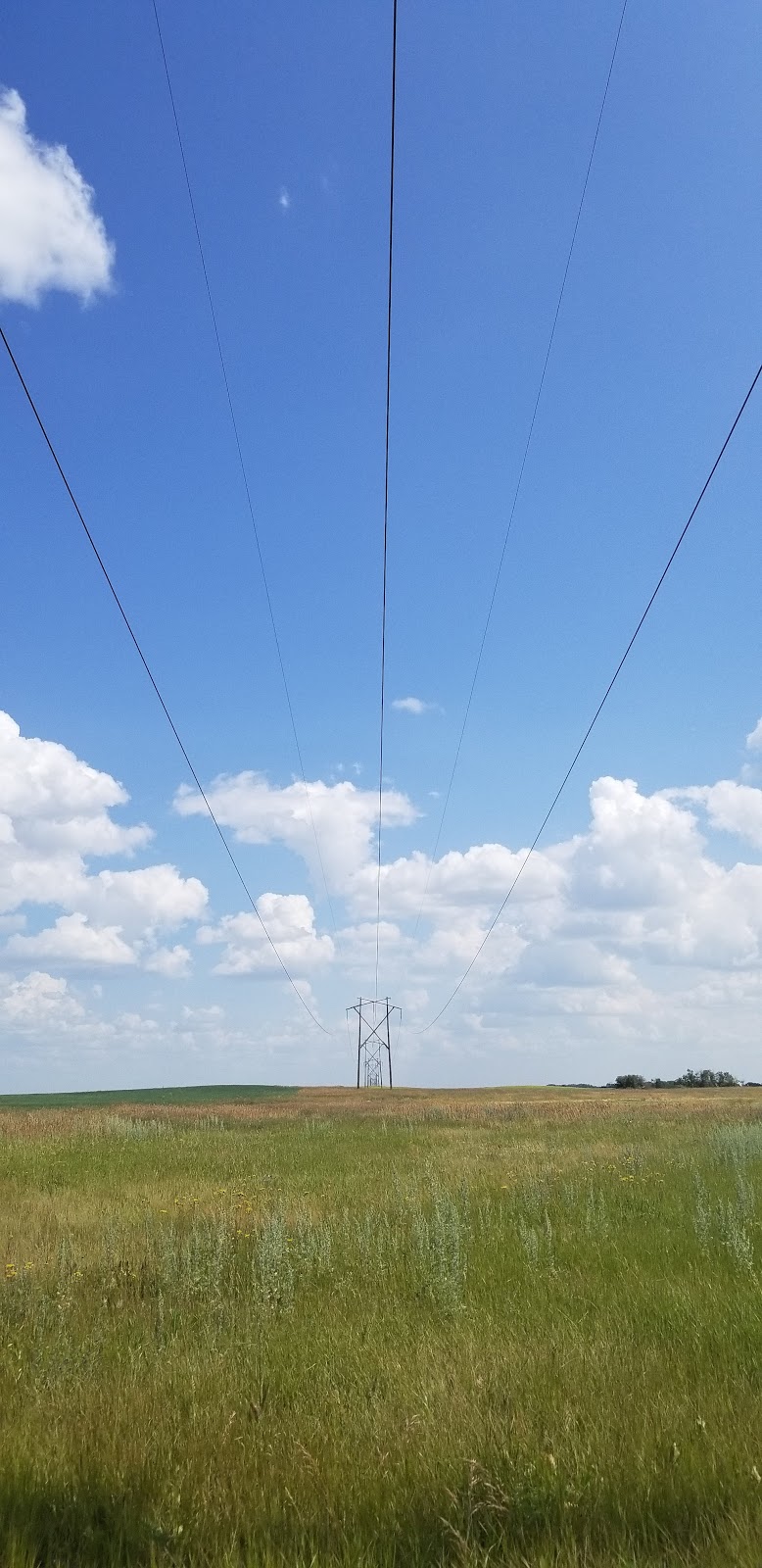 Regina Gliding and Soaring Club | Francis No. 127, SK S0G 3S0, Canada | Phone: (306) 536-4119