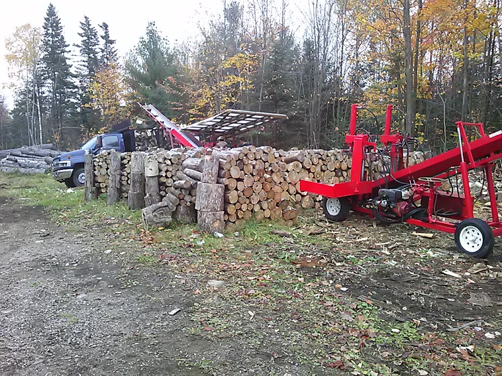 Les Entreprises Forestières Benoit Cloutier Enr. | 1382 Rue St Camille, Saint-Jérôme, QC J5L 2K7, Canada | Phone: (450) 530-3985