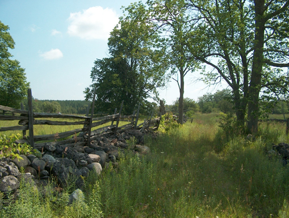 Kinghurst Nature Reserve | 175195 Concession Rd 6, Elmwood, ON N0G 1S0, Canada | Phone: (800) 440-2366