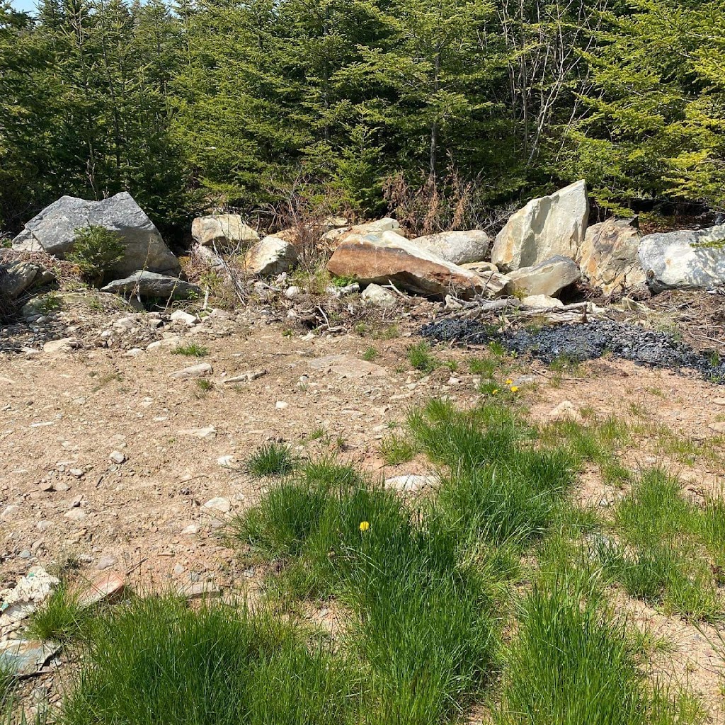 Down2Roots landscaping and construction | 691 Prospect Rd, Goodwood, NS B3T 1P3, Canada | Phone: (902) 789-2318