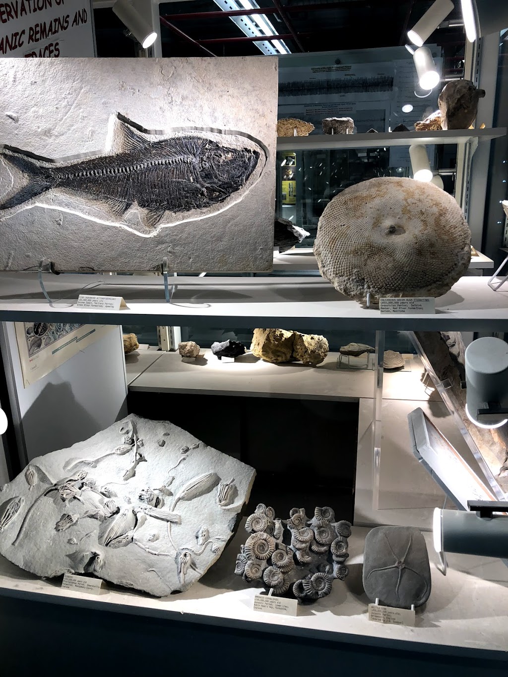 Robert B. Ferguson Museum of Mineralogy | 125 Dysart Rd, Winnipeg, MB R3T 2M7, Canada | Phone: (204) 474-9371