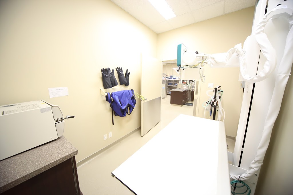 Mercy Animal Hospital | 15825 97 St NW, Edmonton, AB T5X 0C7, Canada | Phone: (780) 406-1400