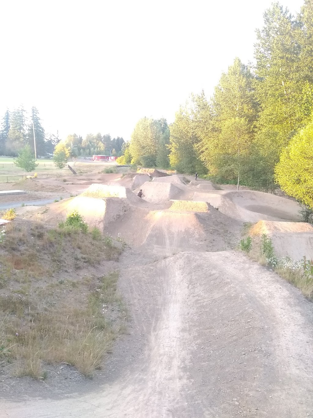 Dodge City Cycles | 2705 Dunsmuir Ave, Cumberland, BC V0R 1S0, Canada | Phone: (250) 336-2200