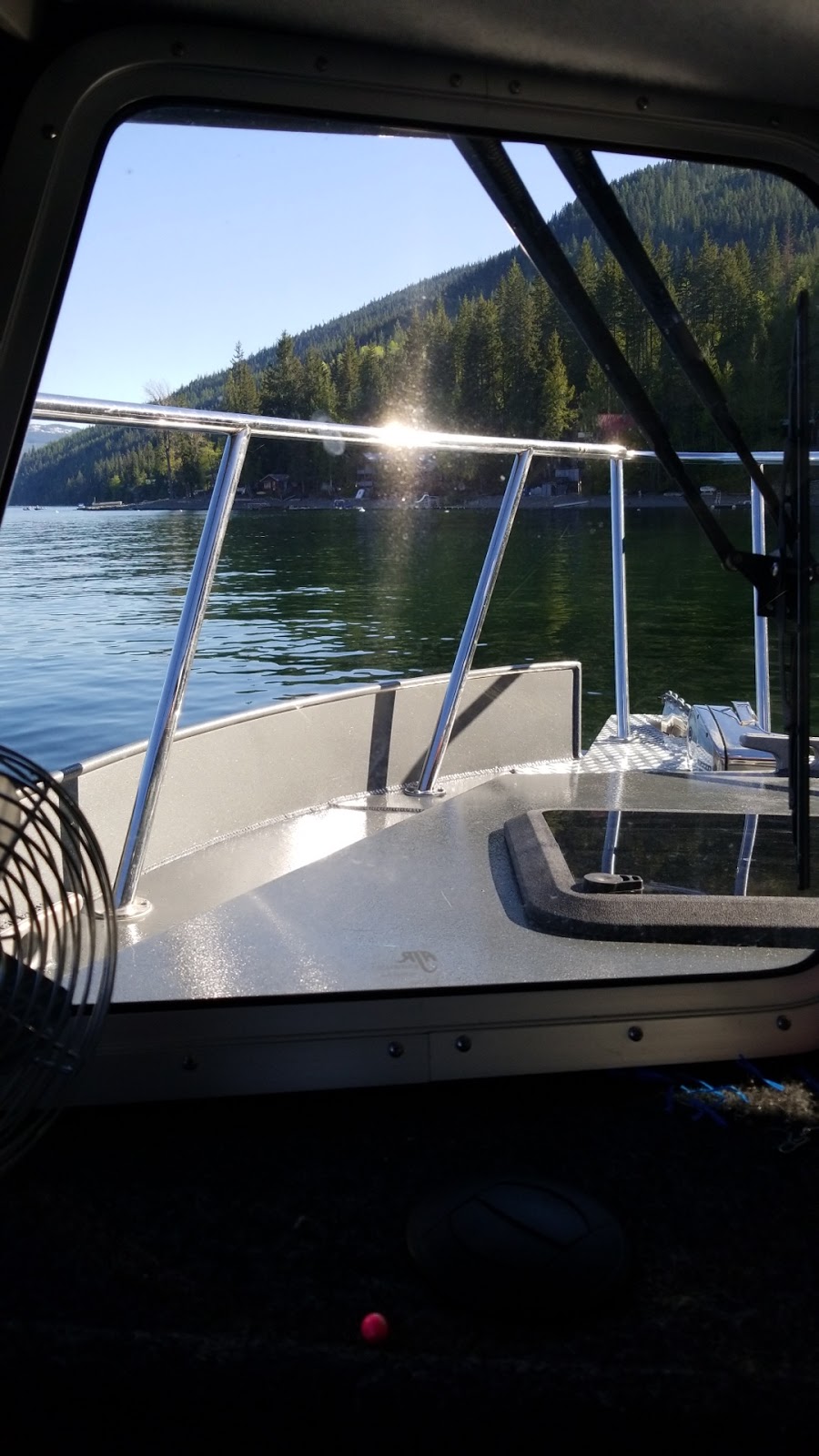 Bucktail Adventures | 202 Kappel St, Sicamous, BC V0E 2V1, Canada | Phone: (250) 832-0757