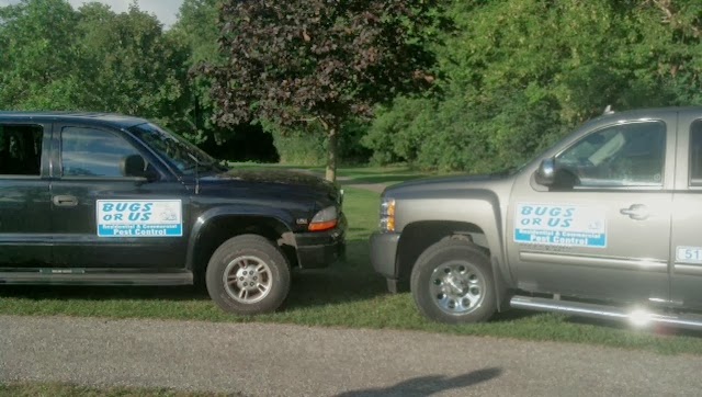 Bugs Or Us Pest Control | 251 Main St, Cambridge, ON N1R 1X2, Canada | Phone: (519) 716-6701