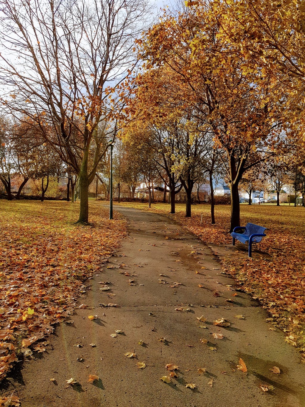 Parc St-Charles | 4250 Rue Harold, Pierrefonds, QC H9H 5G3, Canada | Phone: (514) 872-0311