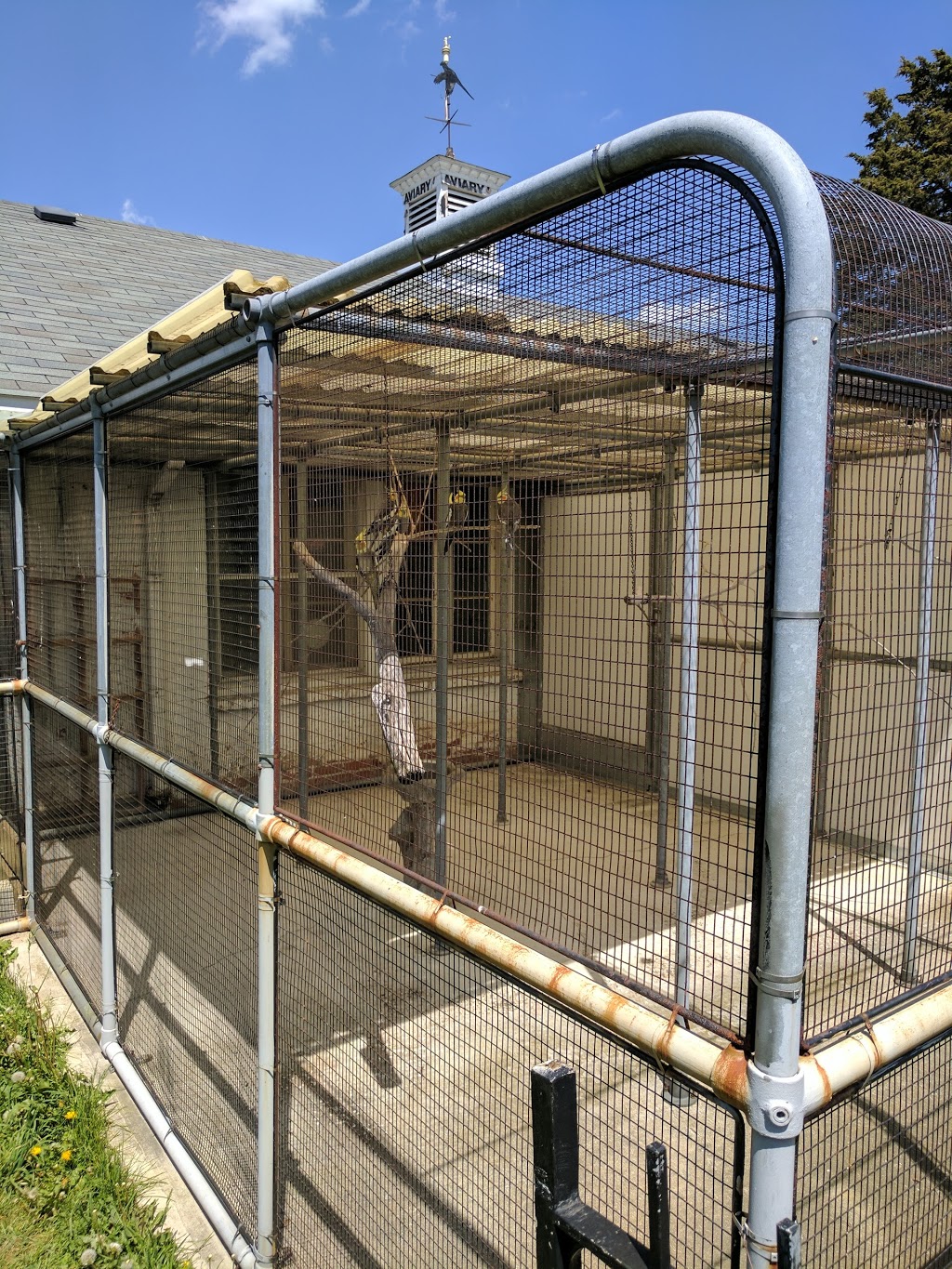 Friends of the Aviary | 85 Oak Knoll Dr, Hamilton, ON L8S 4C2, Canada | Phone: (905) 546-4842