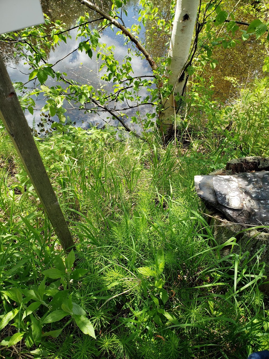 Aventure Plume Blanche (site) | 607 Rang 2 Sud, Roberval, QC G8H 2M9, Canada | Phone: (418) 275-6857