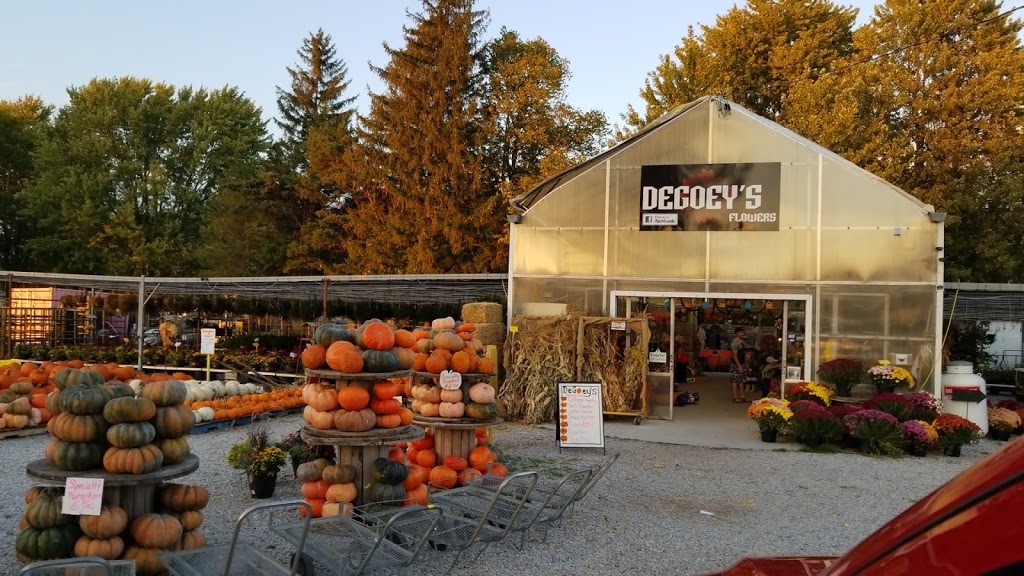 De Goey Nursery | 665 St Clair St, Chatham, ON N7L 4G8, Canada | Phone: (519) 358-1755