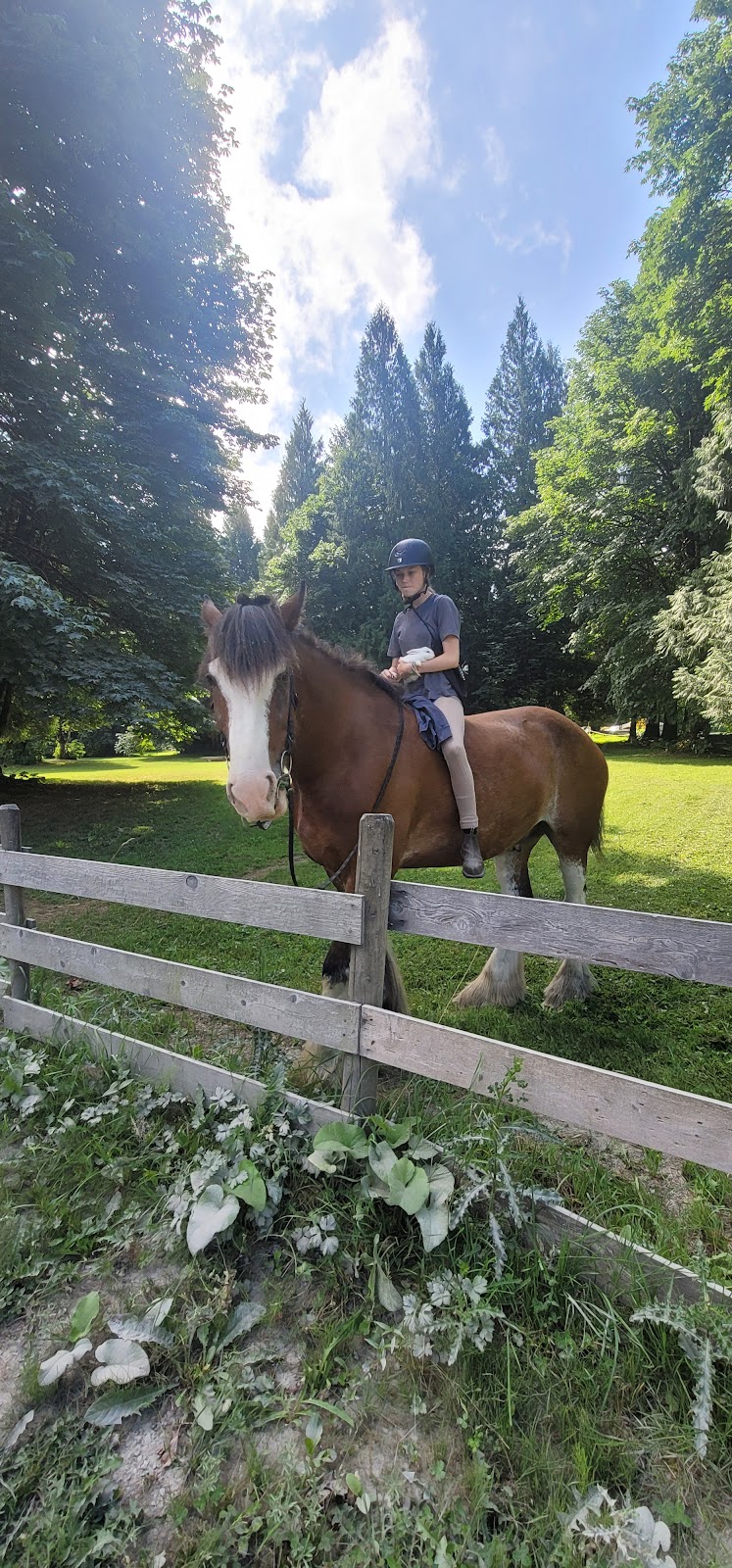 Glacier Valley Farm | 12825 Squamish Valley Rd, Brackendale, BC V0N 1H0, Canada | Phone: (604) 902-5951