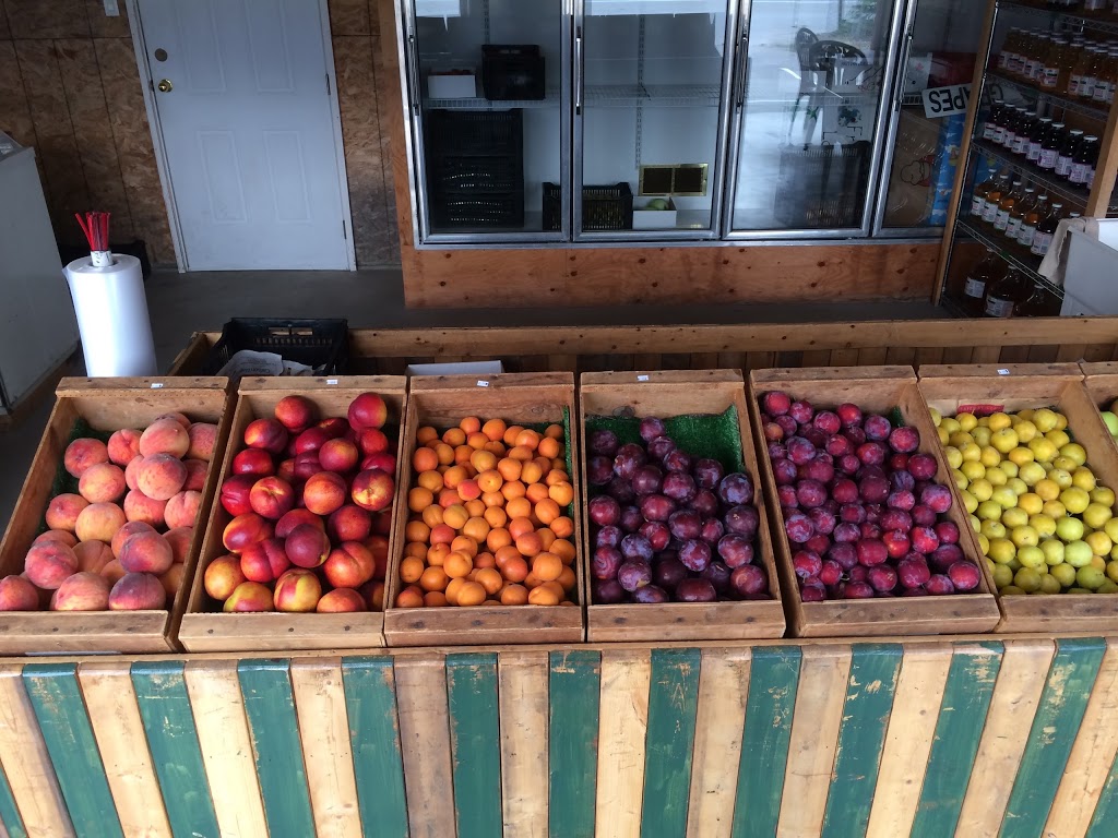 Osoyoos Fruit Market | 9710 100 Ave, Osoyoos, BC V0H 1V2, Canada | Phone: (250) 495-2944