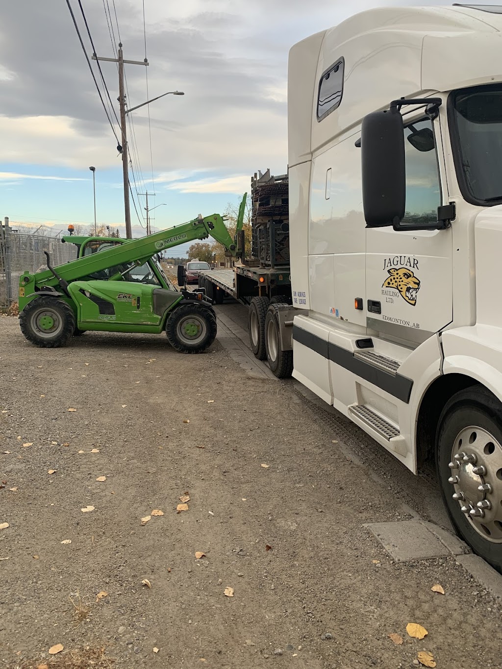 Jaguar Hauling Ltd | 3524 8 St NW, Edmonton, AB T6T 1A2, Canada | Phone: (780) 231-1911