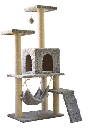 Fennec Pets Canada | 419 Markham Rd UNIT 408, Toronto, ON M1J 3E1, Canada | Phone: (437) 993-4180
