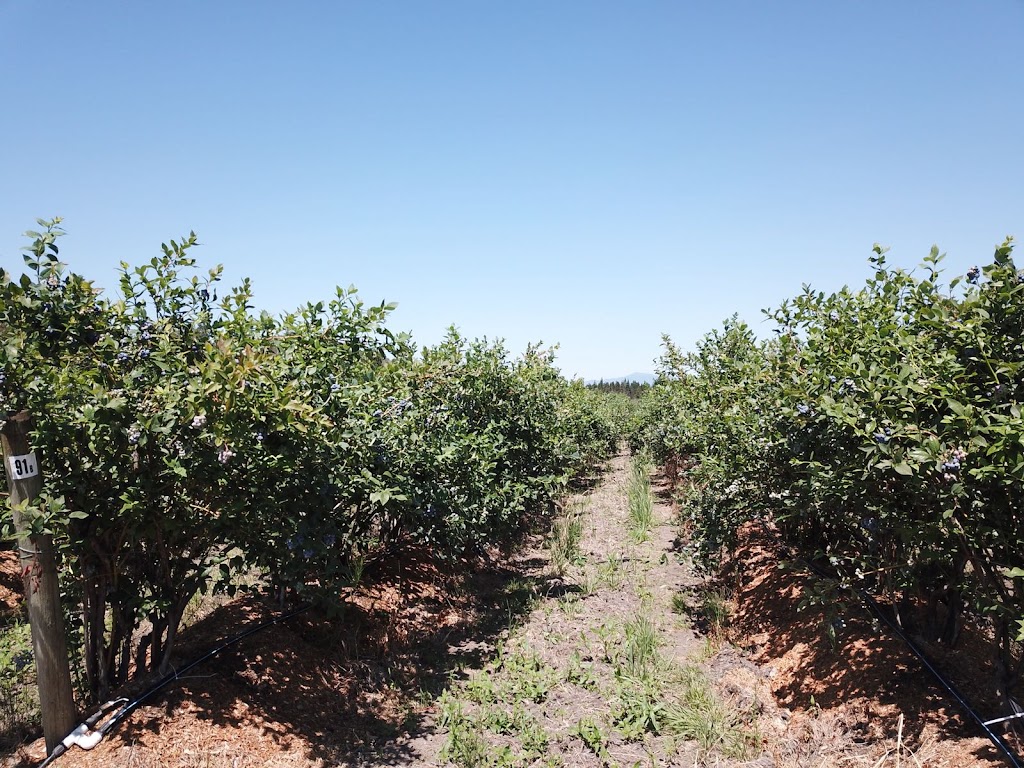 JP Farms | 5863 104 St, Delta, BC V4K 3N3, Canada | Phone: (778) 869-4545