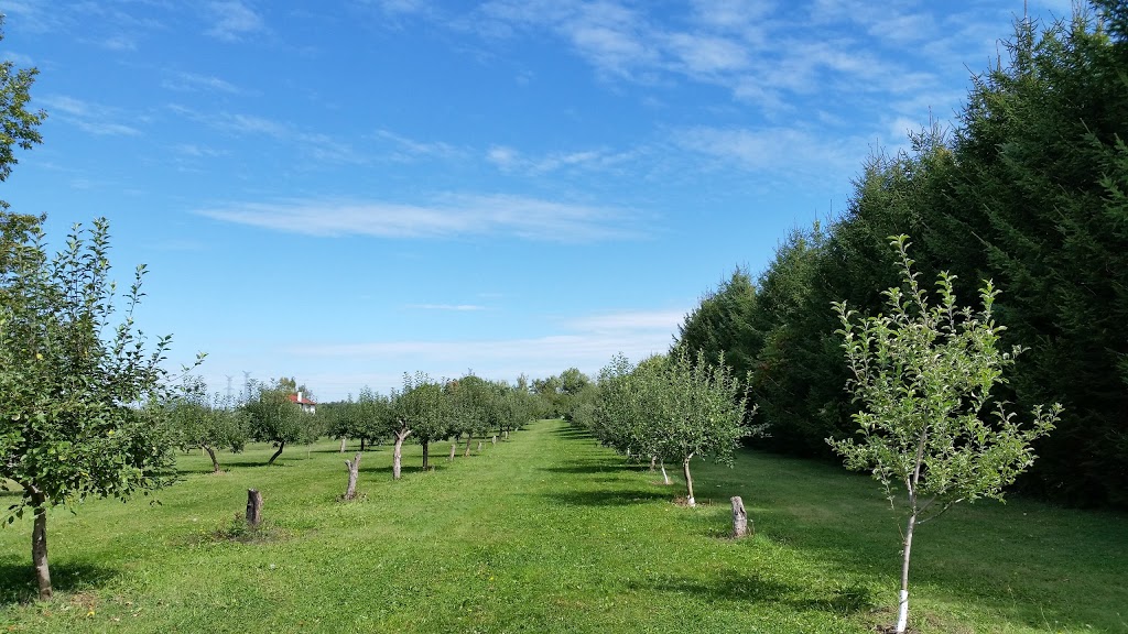 Rural Route Orchard | 10308 Fourth Line, Halton Hills, ON L9T 2X9, Canada | Phone: (905) 873-7687