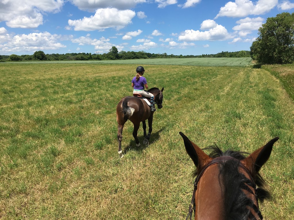 Lake House Stables | 412 Townline Rd, Ashburn, ON L0B 1A0, Canada | Phone: (905) 441-3141