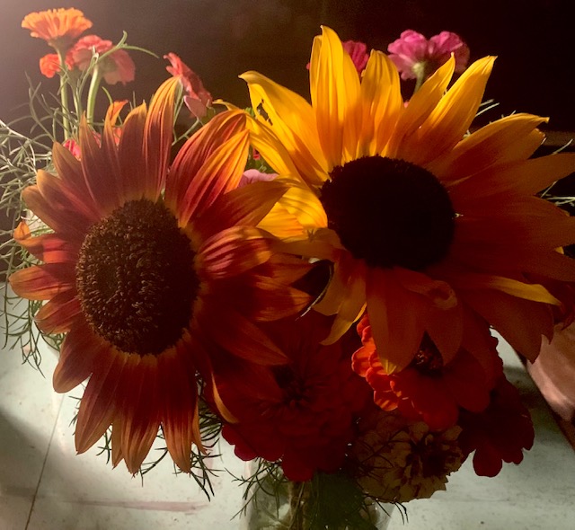 Blooms Away Farm | 6045 10 Line, Erin, ON N0B 1T0, Canada | Phone: (519) 938-0352