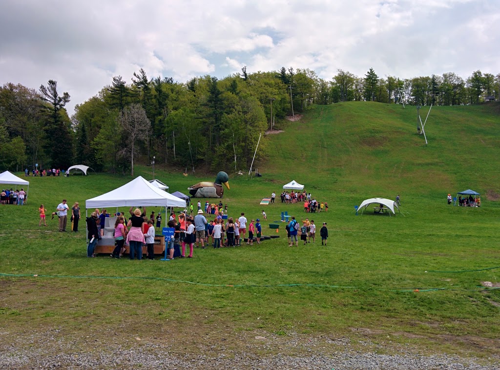 Batawa Ski Hill | 99 Ski Club Ln, Batawa, ON K0K 1E0, Canada | Phone: (613) 398-6568