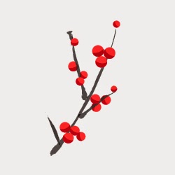 Winterberry Family Medicine | 325 Winterberry Dr Suite 206, Stoney Creek, ON L8J 0B6, Canada | Phone: (905) 575-9004