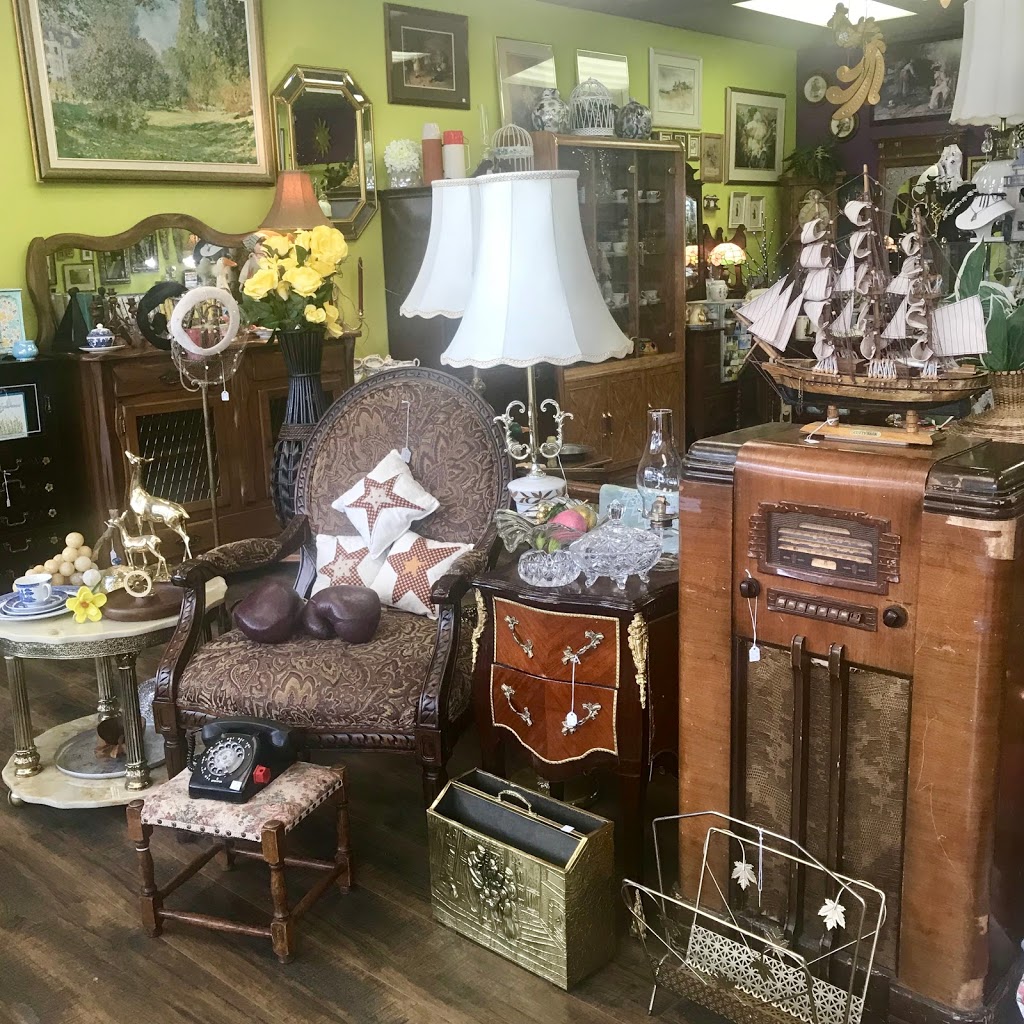 Anything and Everything | 76 Grosvenor Blvd #4, St. Albert, AB T8N 2Y8, Canada | Phone: (780) 569-2933