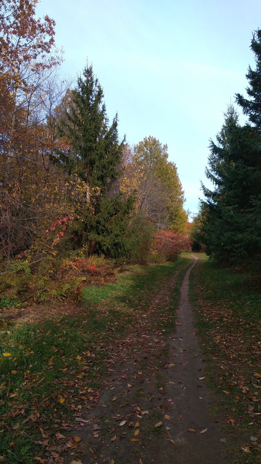 Sandy Hollow Disc Golf Course | 434 Ferndale Dr N, Barrie, ON L4N 7X6, Canada | Phone: (705) 795-2597