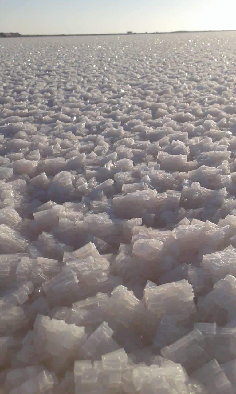 ATLANTIC OCEAN SALT INC. | 7566 Silver Creek Cresent, London, ON N6P 0G6, Canada | Phone: (226) 700-7597