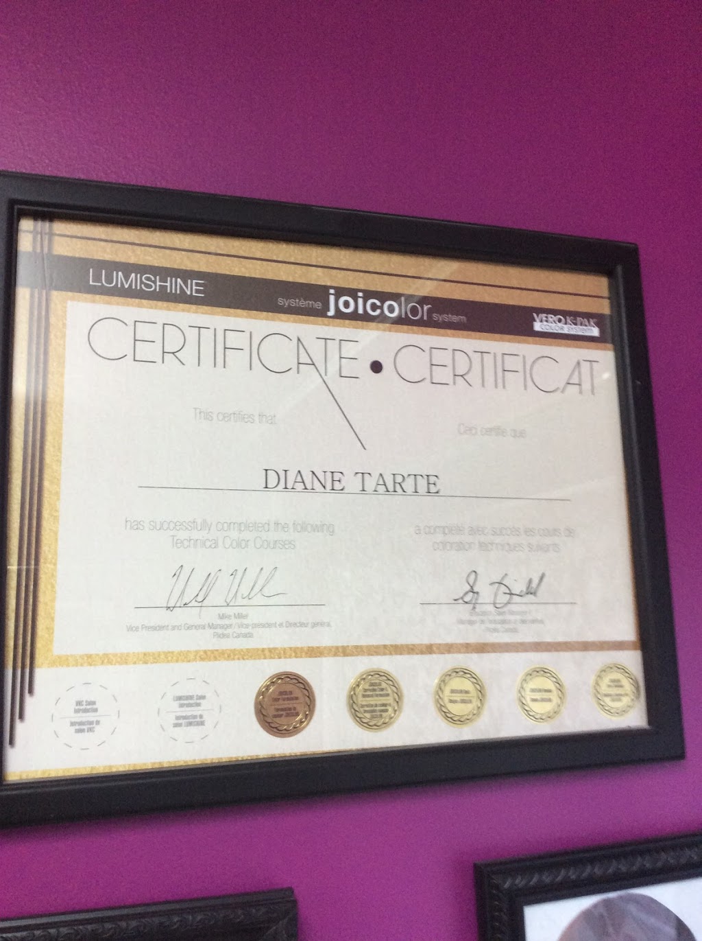Coiffe-Ongle-Diane | 599 Rue Principale, Saint-Dominique, QC J0H 1L0, Canada | Phone: (450) 771-8580