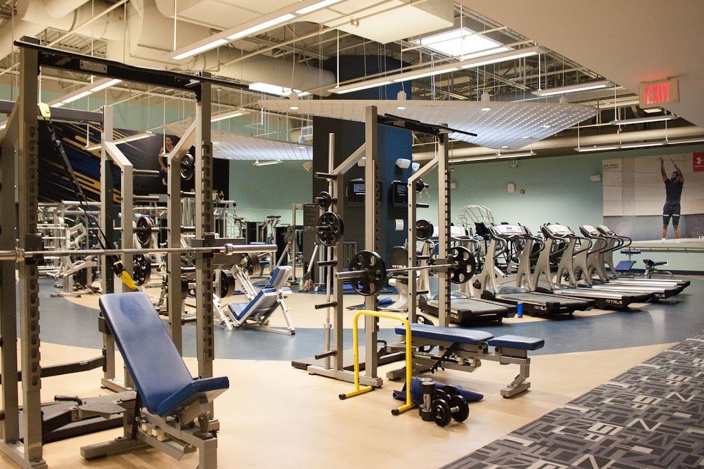 All-In Athletic Training | 2206 Eglinton Ave E unit 190, Scarborough, ON M1L 4S8, Canada | Phone: (647) 648-1372