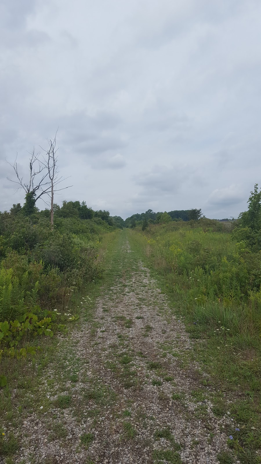 Ilderton Rail Trail | 13235 Ilderton Rd, Ilderton, ON N0M 2A0, Canada | Phone: (519) 666-0190