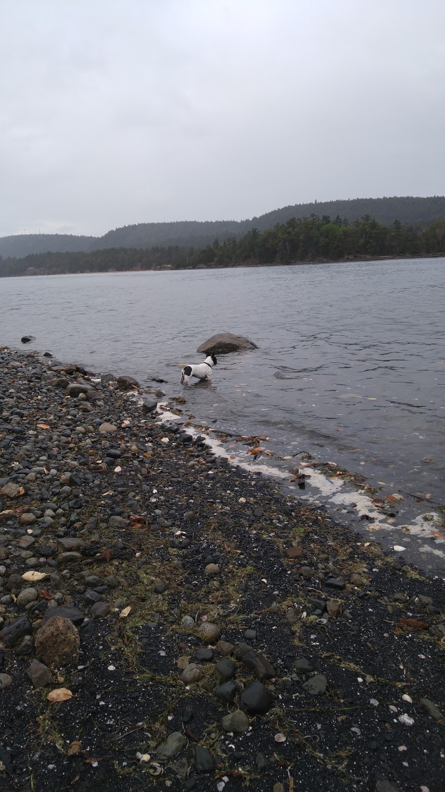 Ladysmith Marine Services | 901 Ludlow Rd, Ladysmith, BC V9G 1A1, Canada | Phone: (250) 245-7485