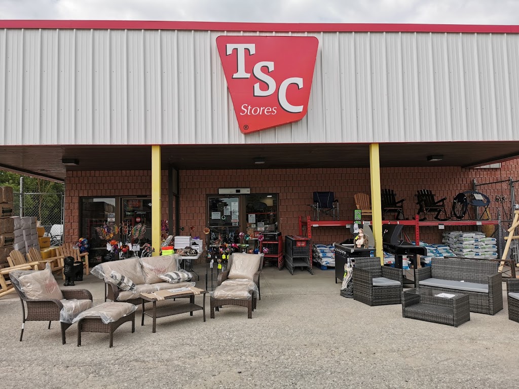 TSC Stores | 445 Main St N, Mount Forest, ON N0G 2L1, Canada | Phone: (519) 323-9280