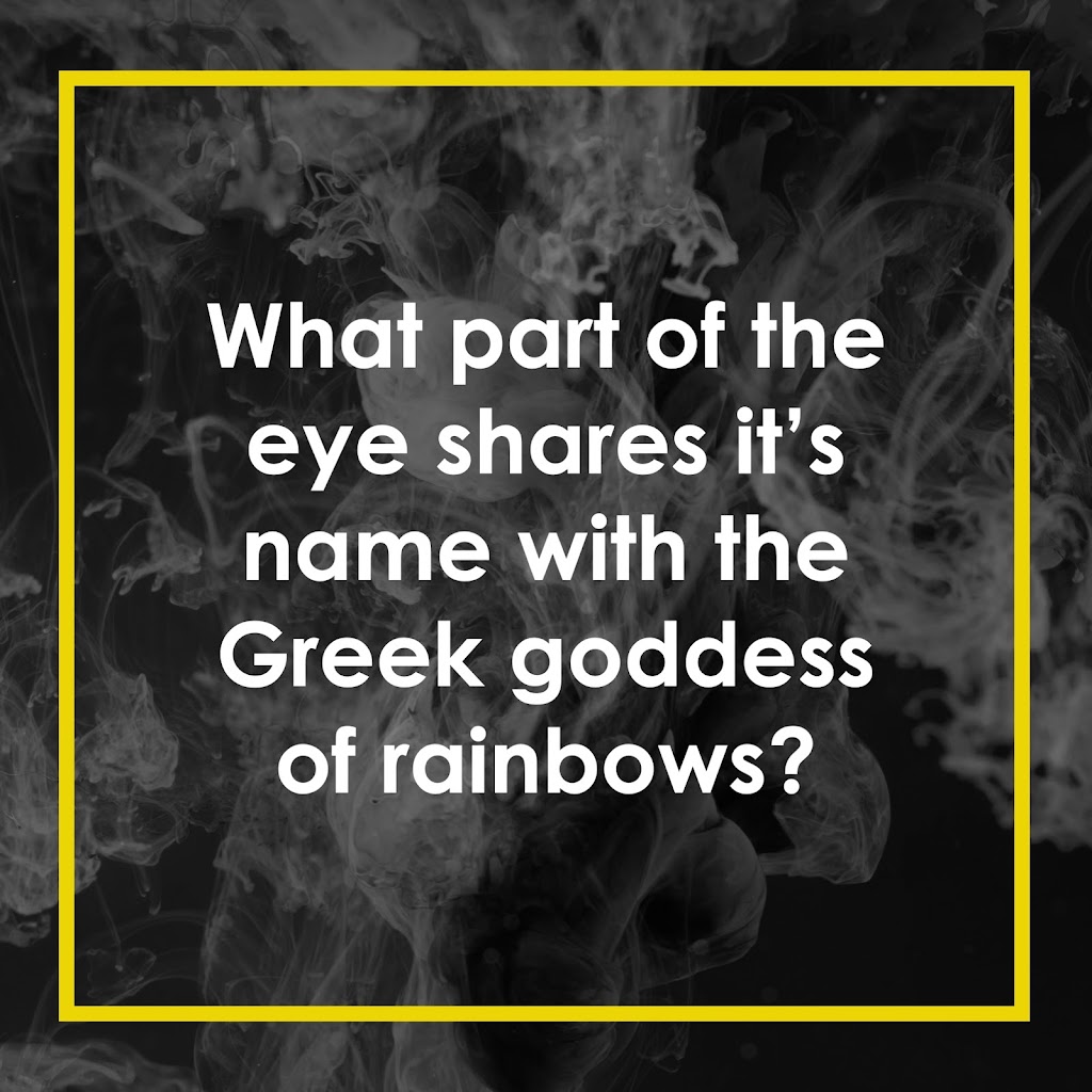 Memory Bank Trivia | 77 Howard St #1904, Toronto, ON M4X 1J9, Canada | Phone: (647) 884-5730