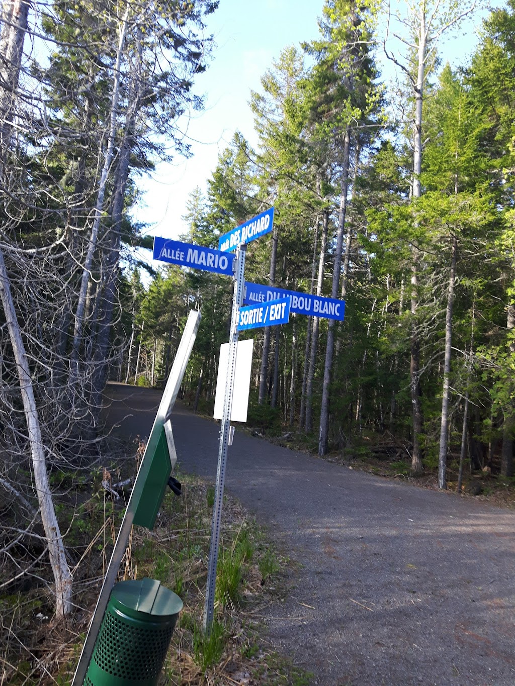 Éditions du Phare | 1234 All. des Hirondelles, Cap-Pelé, NB E4R 1N7, Canada | Phone: (506) 577-6160