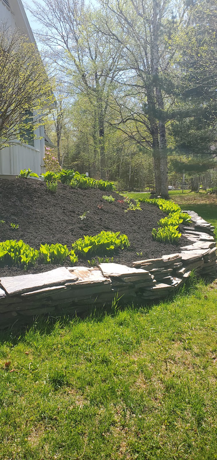 Cooks Lawn Maintenance | Hill St, Truro, NS B2N 5H5, Canada | Phone: (902) 895-1919