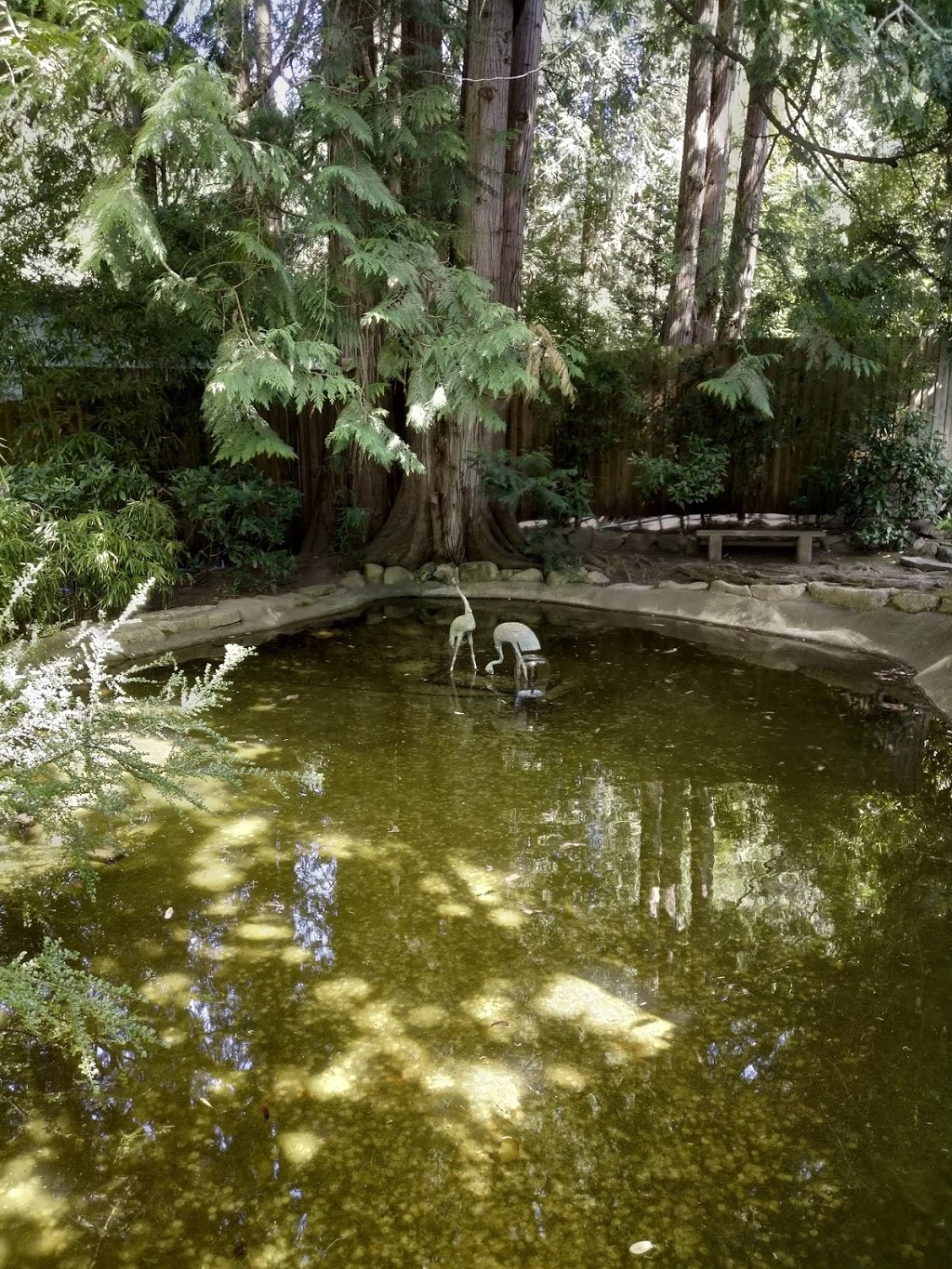 Japanese Garden | Brentwood Bay, BC V8M 1A6, Canada