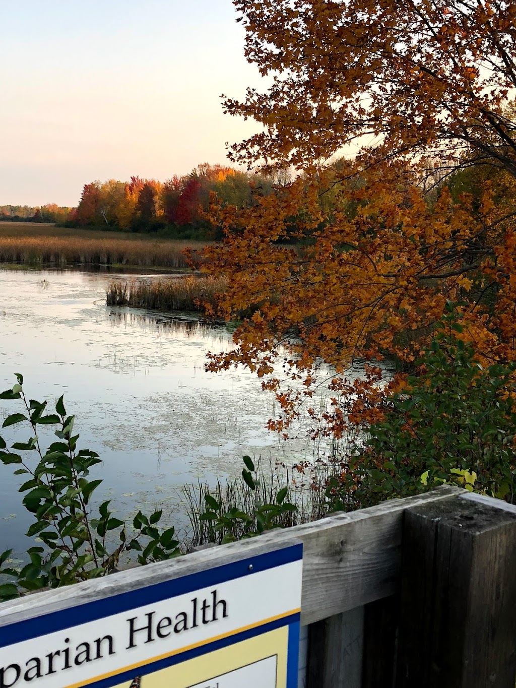 Tay Marsh Lookout Tower | Perth Wildlife Reserve Trails, Perth, ON K7H 3C7, Canada | Phone: (613) 692-3571