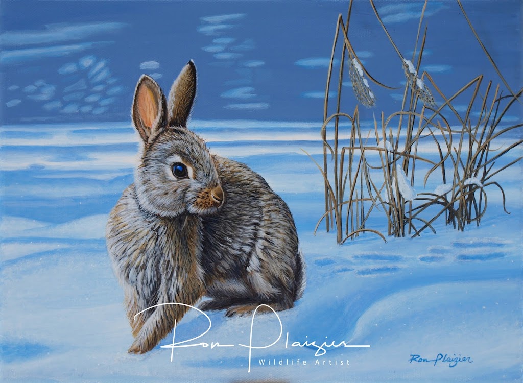 Ron Plaizier - Wildlife Artist | art gallery | 263 Marble Point Rd, Marmora, ON K0K 2M0, Canada | 6134723697 OR +1 613-472-3697