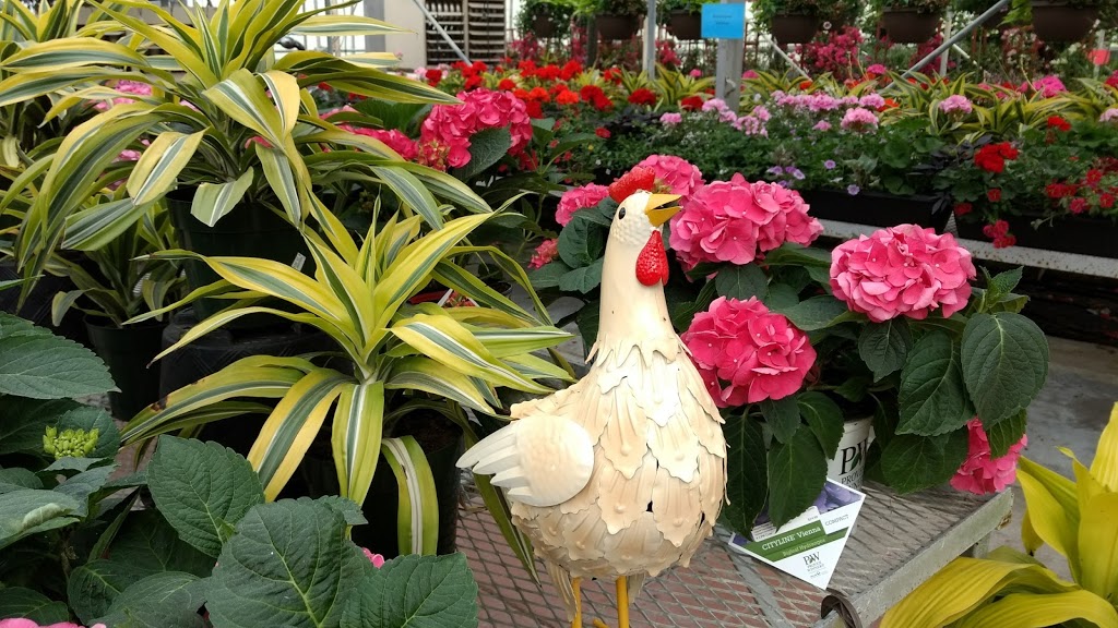 Mount Forest Greenhouses | 460 Durham St E, Mount Forest, ON N0G 2L2, Canada | Phone: (519) 323-1400