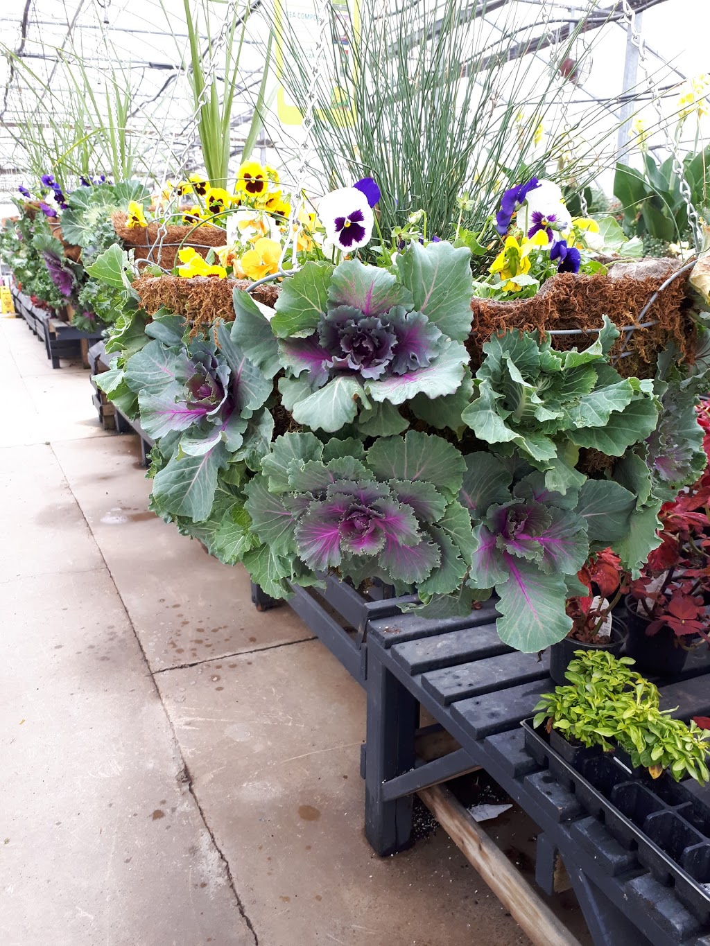 Bloom Greenhouse & Garden Centre | 1421 Hammonds Plains Rd, Hammonds Plains, NS B4B 1P6, Canada | Phone: (902) 832-9268