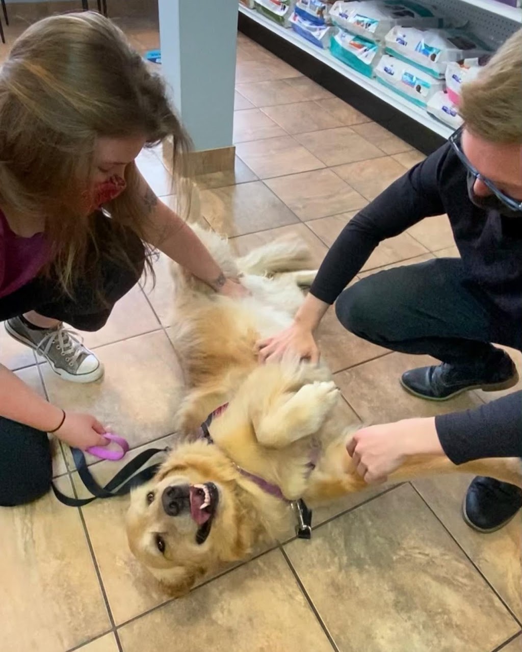 Halifax Veterinary Hospital | 6485 Quinpool Rd, Halifax, NS B3L 1B2, Canada | Phone: (902) 422-8595