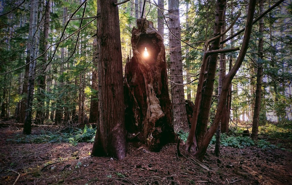Smelt Bay Provincial Park | Mansons Landing, BC V0P 1K0, Canada | Phone: (250) 308-4479