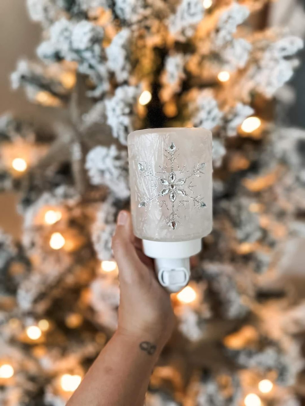 Ashley Greencorn - Independent Scentsy Consultant | 99 All Weather Hwy, Summerside, PE C1N 5L3, Canada | Phone: (902) 303-1159